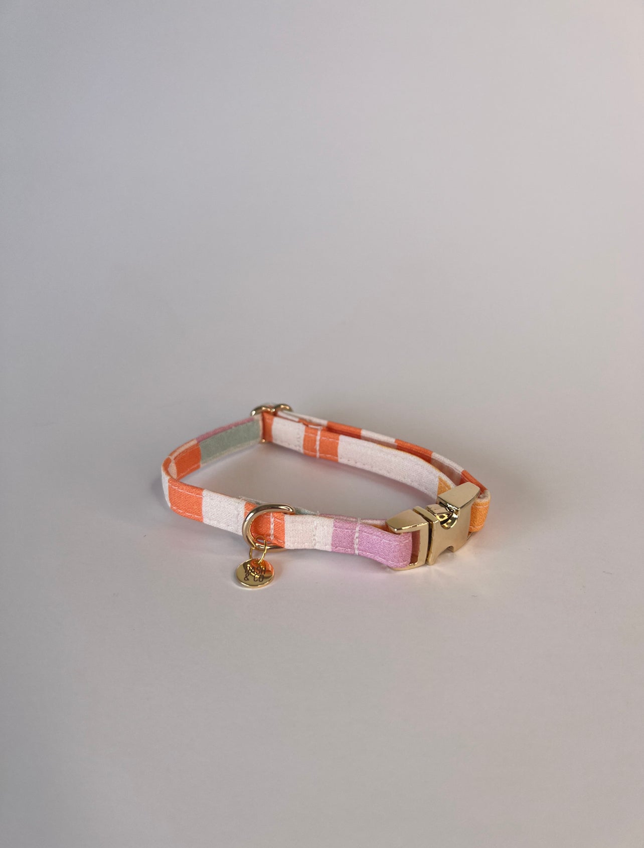 Starburst Puppy/Cat Collar