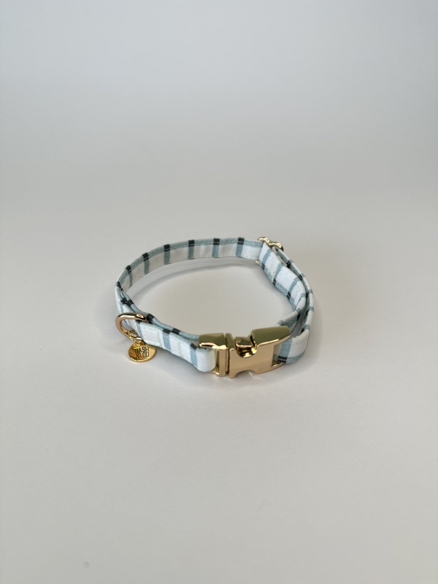 Miles Puppy/Cat Collar