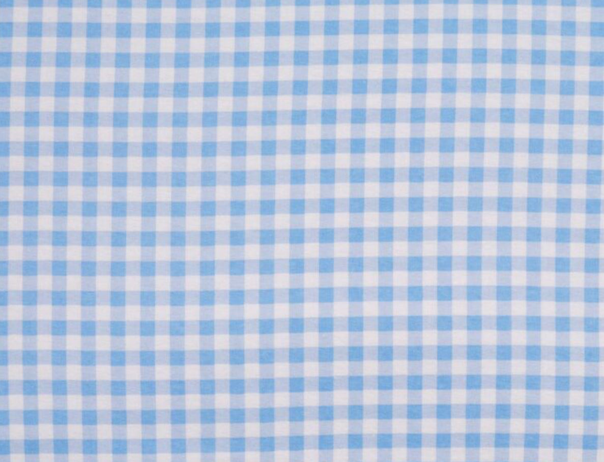 Flannel - Blue gingham
