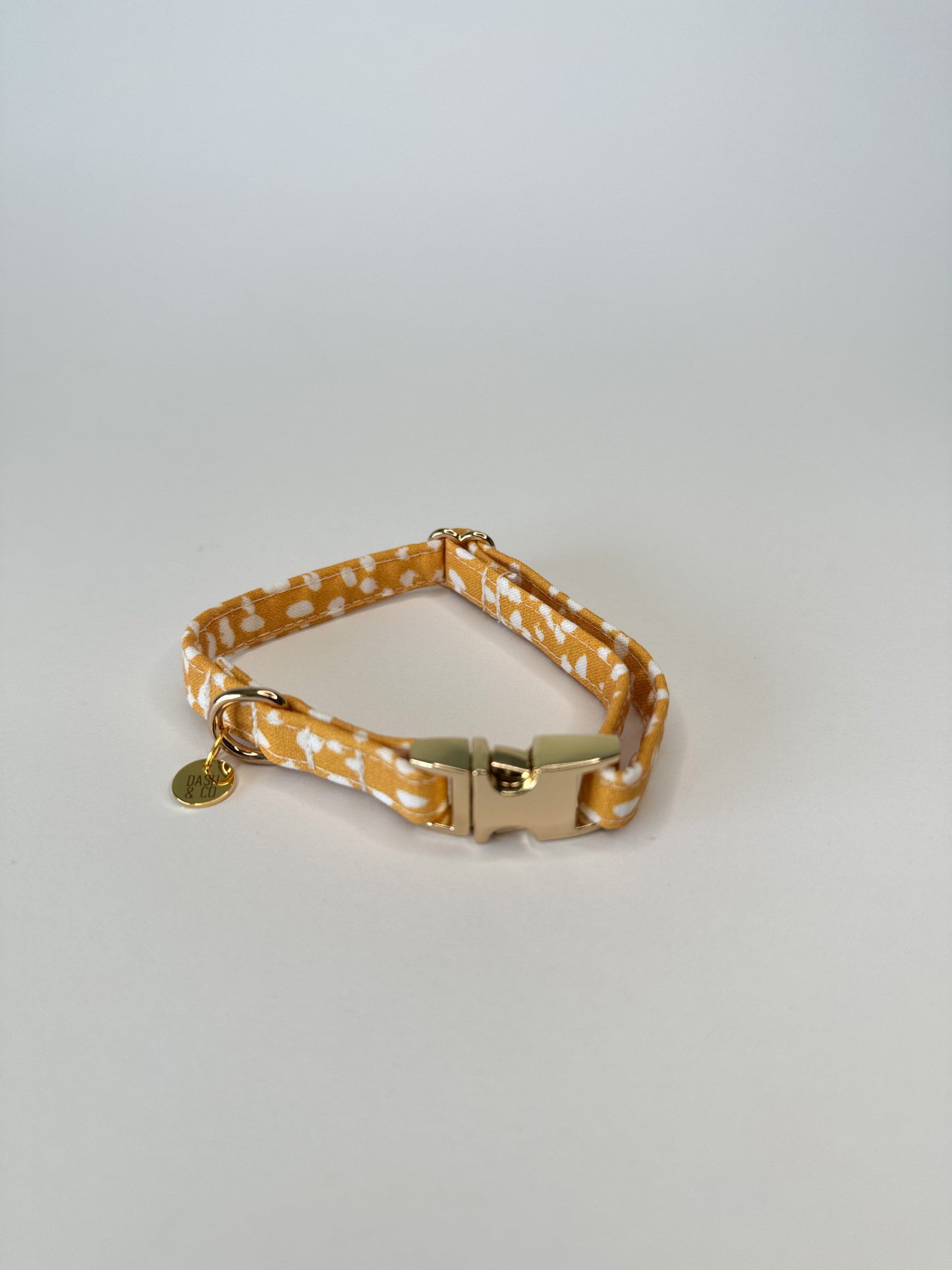 Aster Puppy/Cat Collar