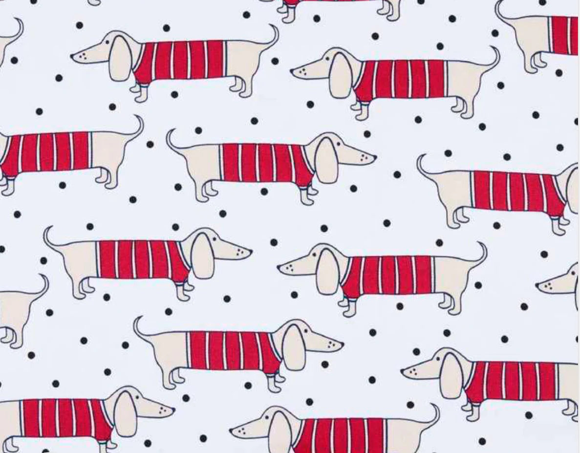 Canvas - Dash in sweaters