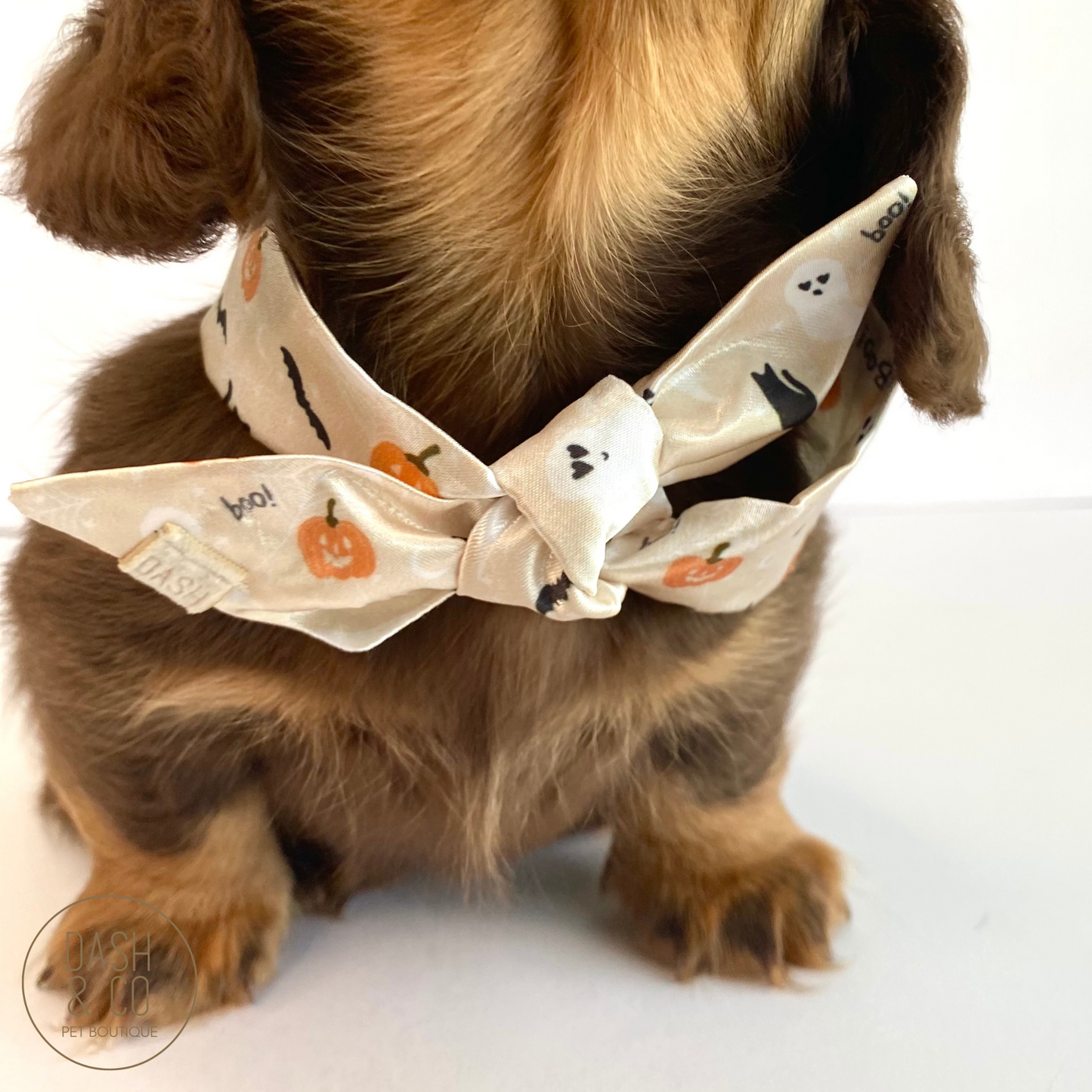 Boo Halloween Neckerchief