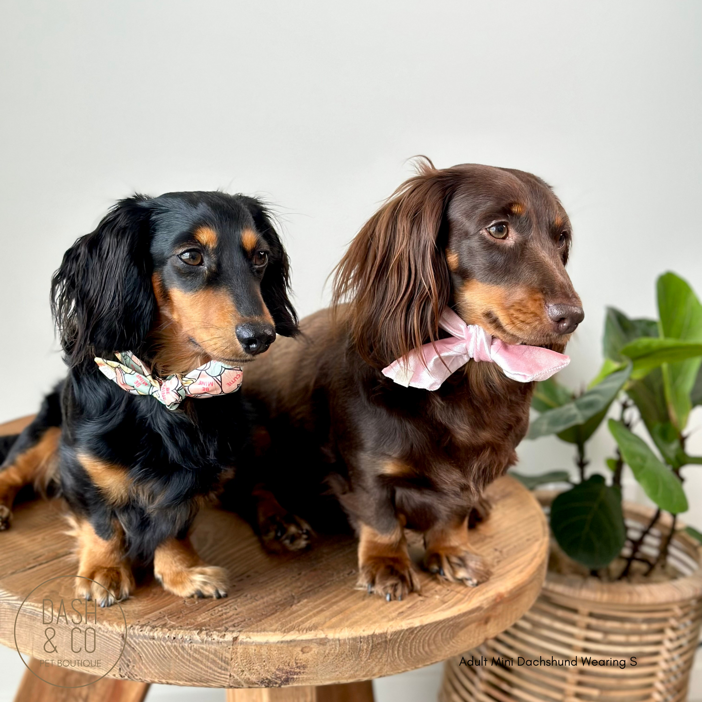Posie Velvet Neckerchief