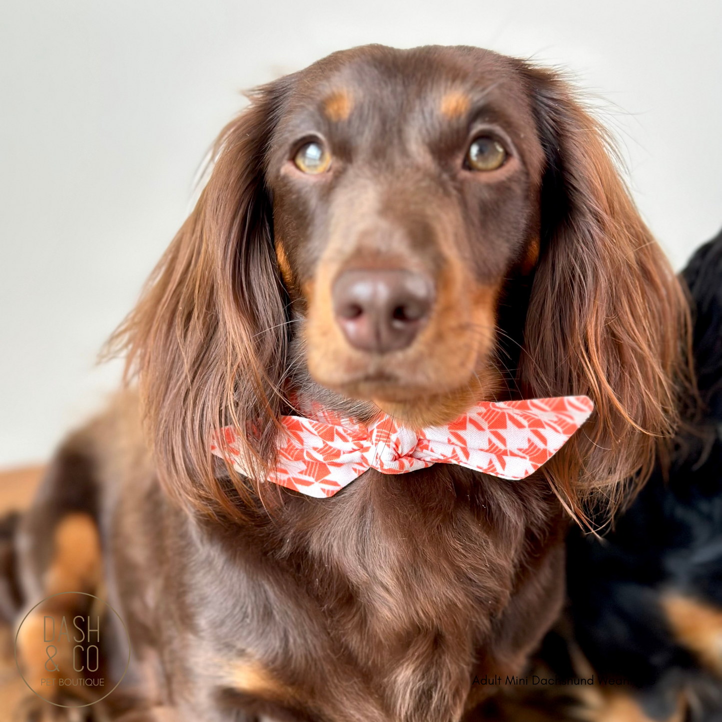 Bae Neckerchief