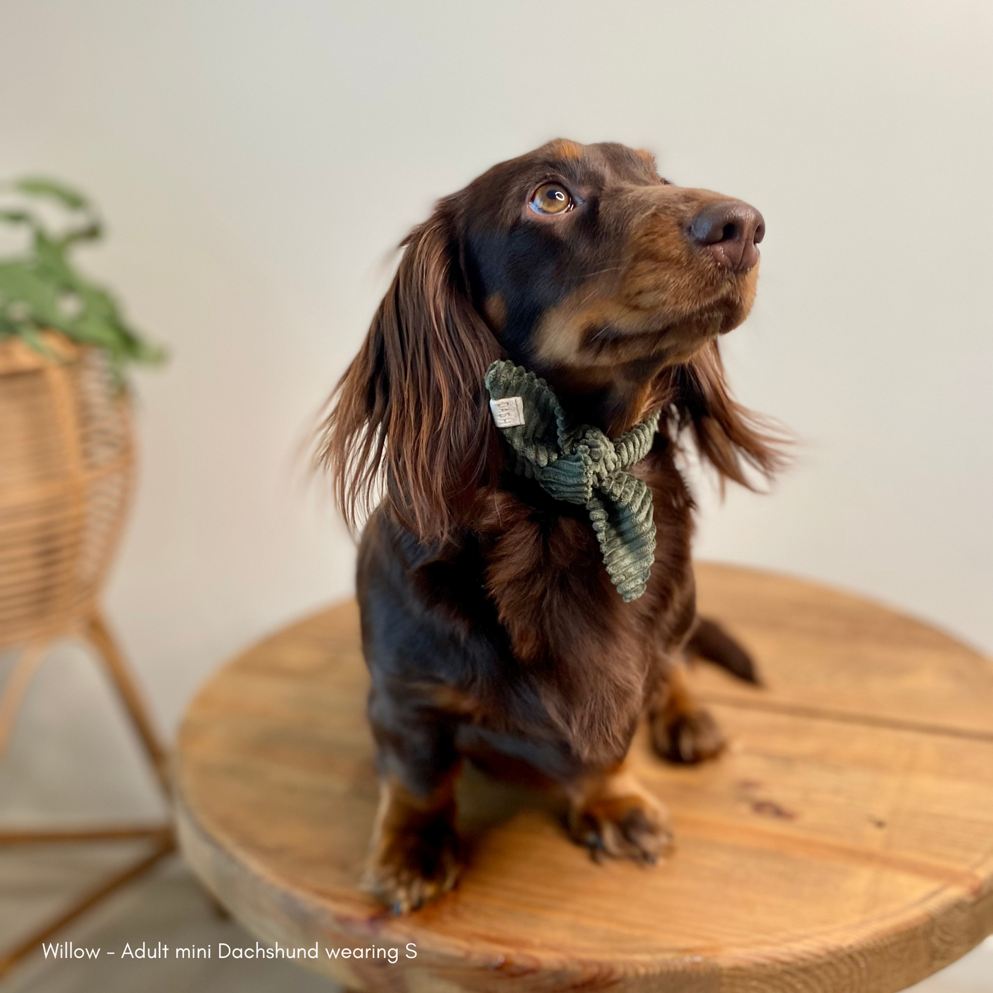 Coco Cord Neckerchief