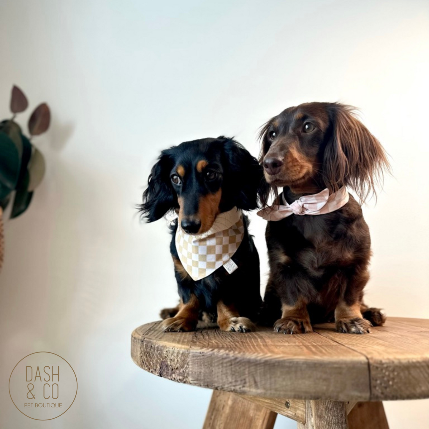 Avery Neckerchief