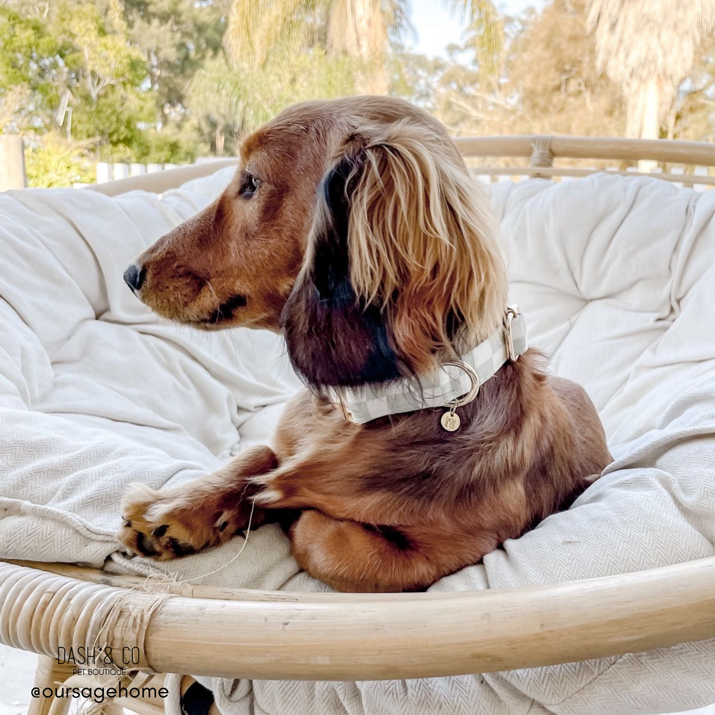 Ralph Collar
