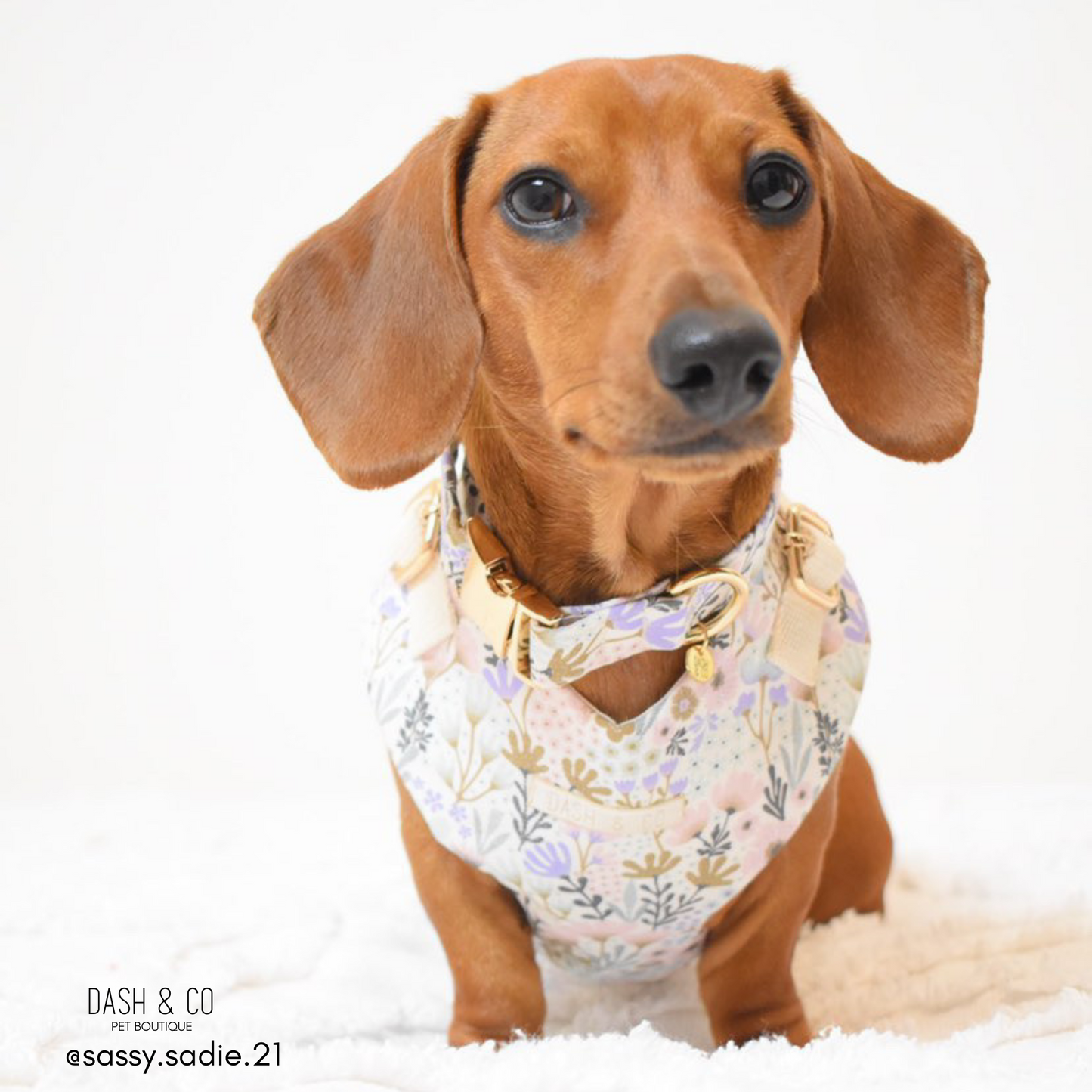 Sofia Chest Harness