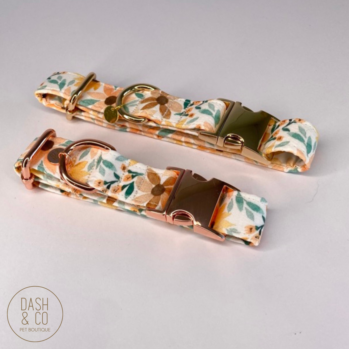 Lola Collar