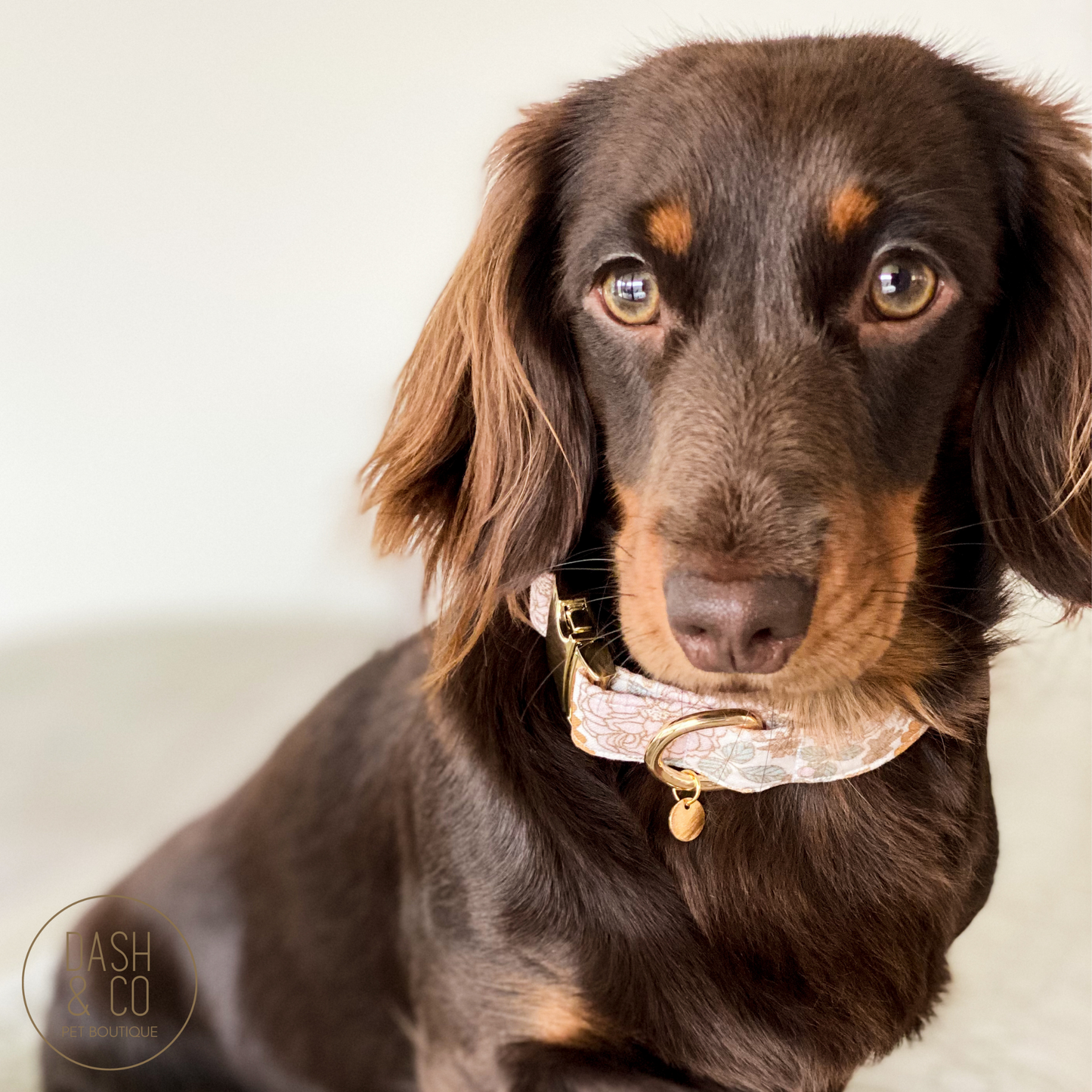 Millie Collar