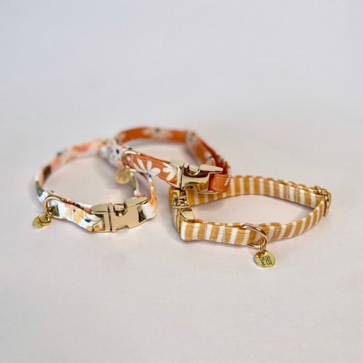Puppy and Cat Collars Dash and Co Pet Boutique
