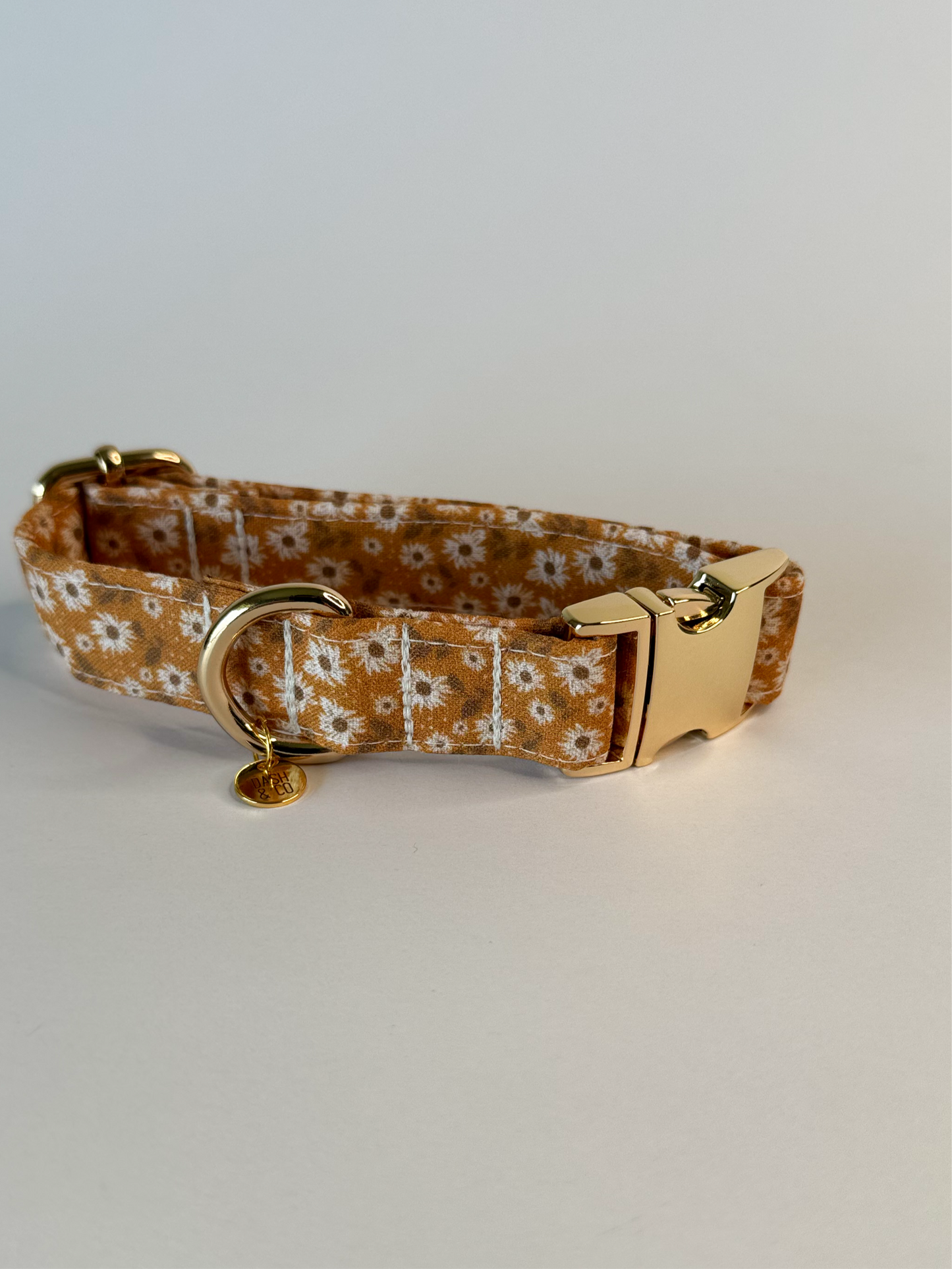 Autumn Collar