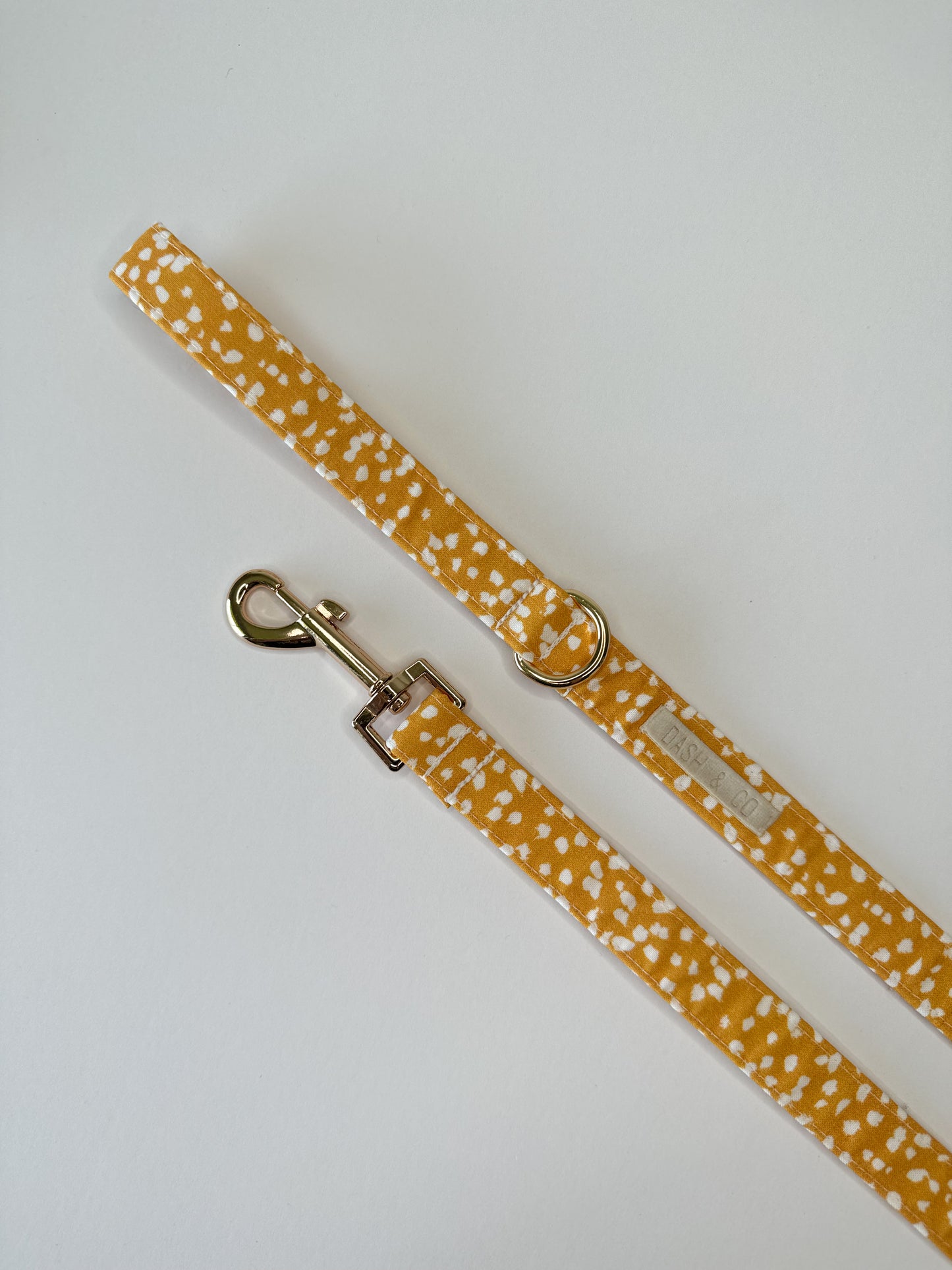 Aster Leash