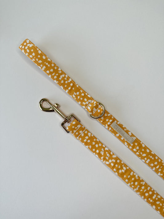 Aster Leash