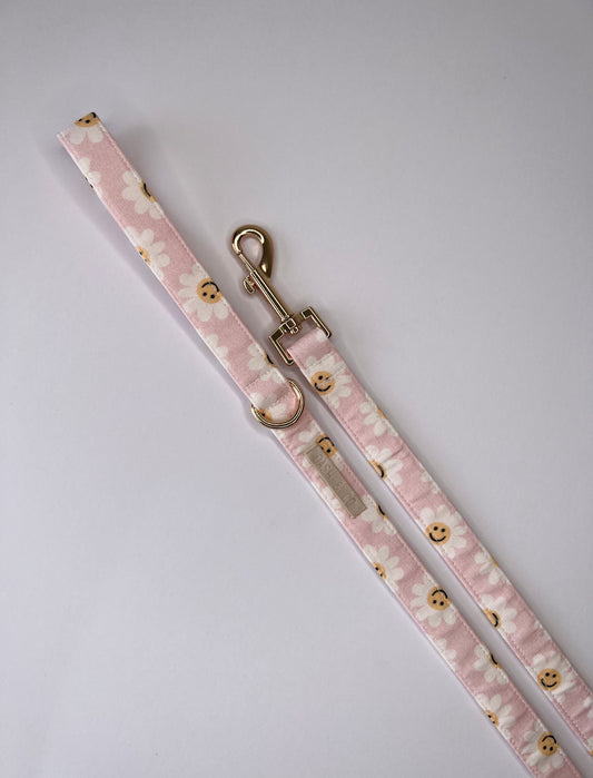 Talia Leash