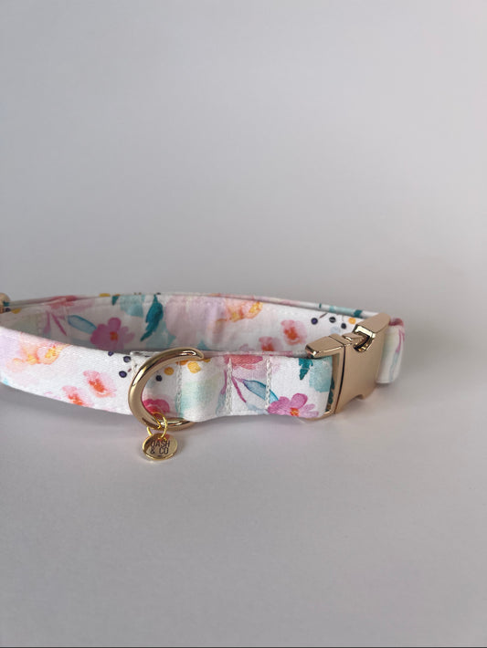 Eden Collar