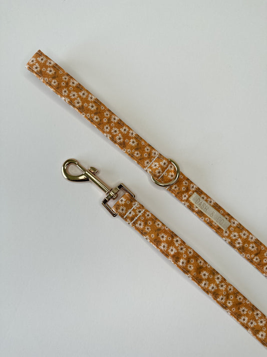 Autumn Leash