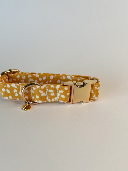 Aster Collar