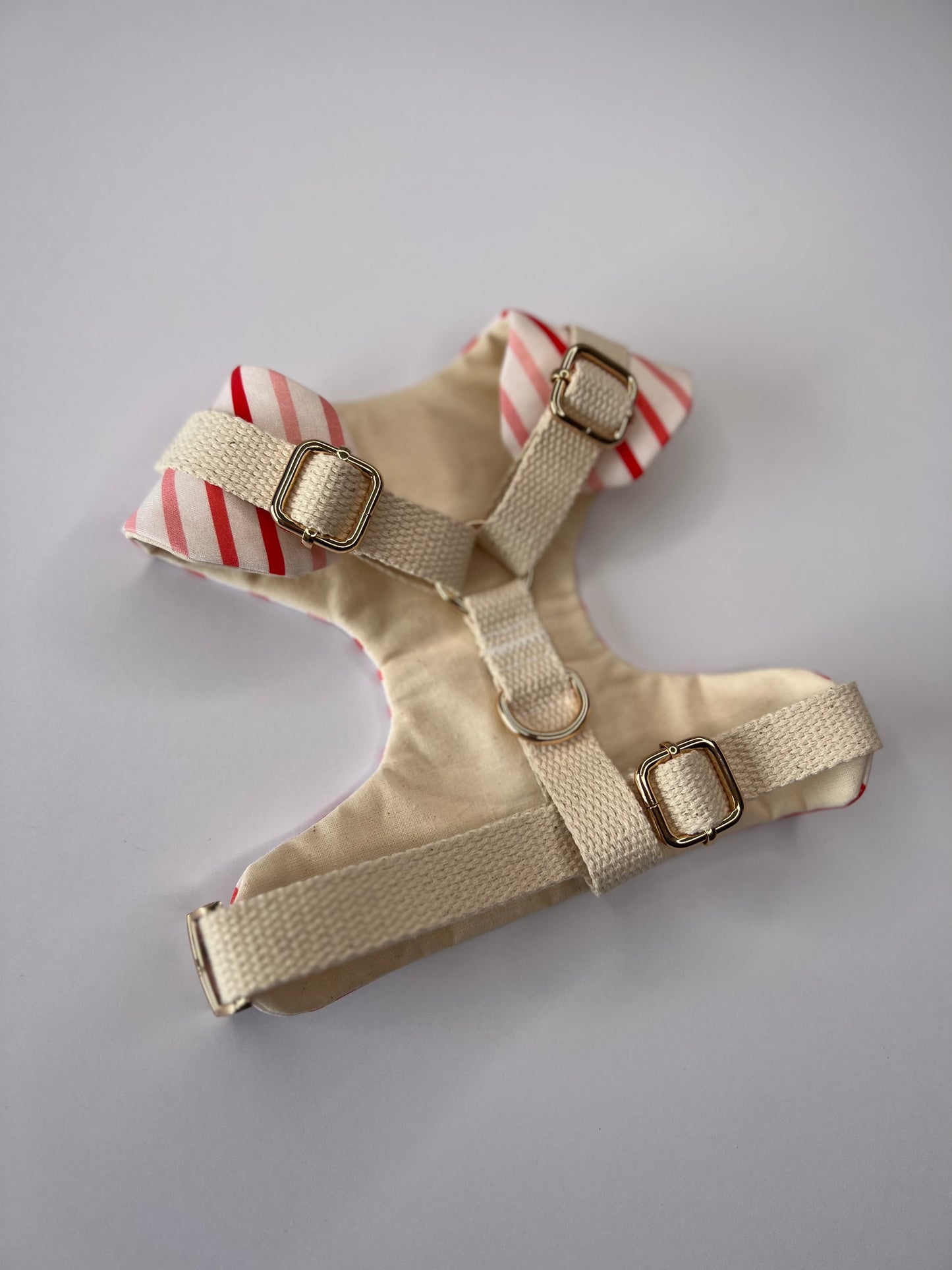 Juliet Harness