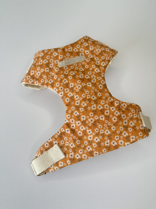 Autumn Harness