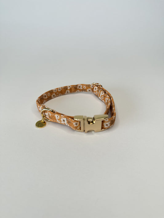 Autumn Puppy/Cat Collar