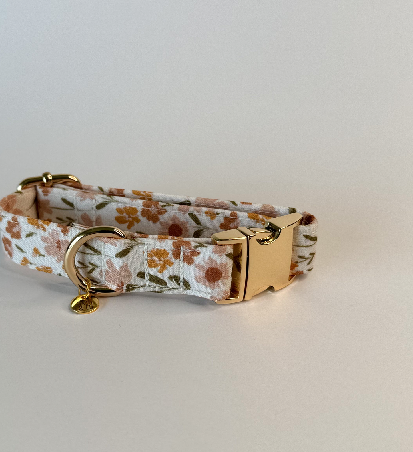 Lottie Collar