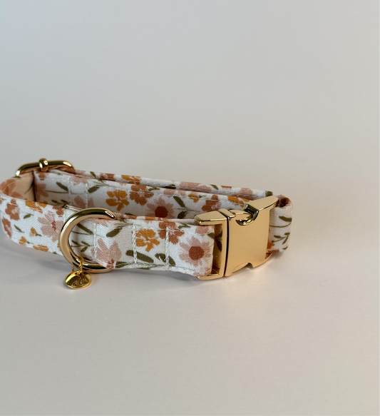 Lottie Collar