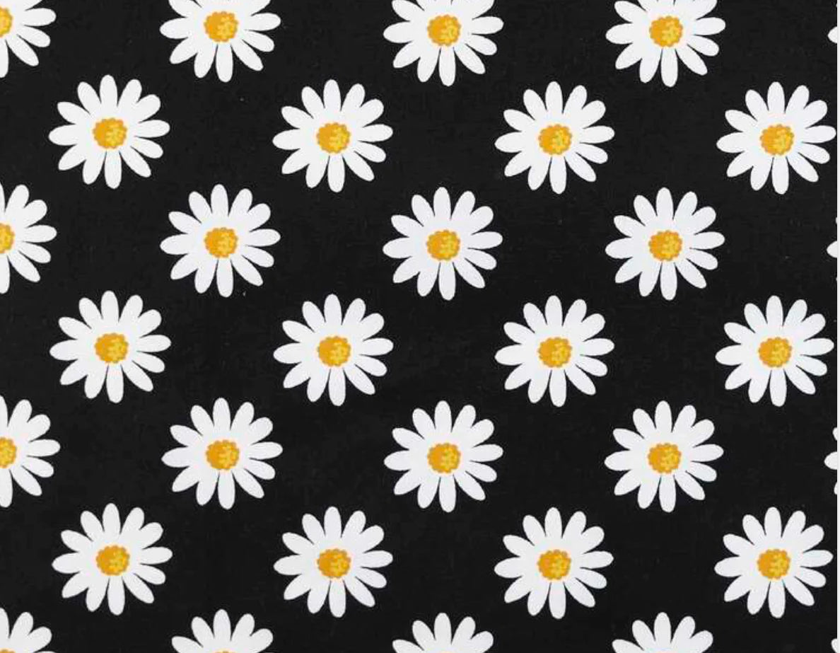 Canvas - Black Daisy