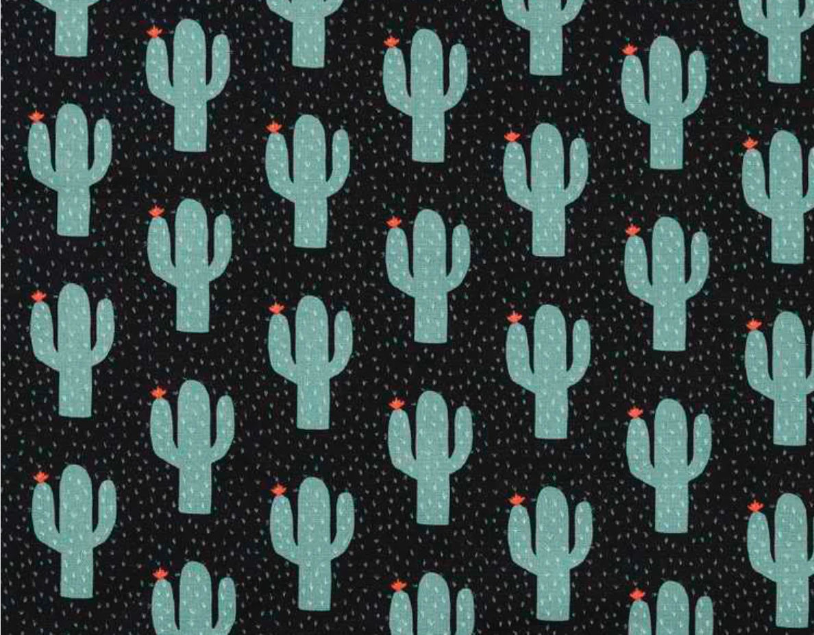 Canvas - Cactus