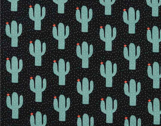Canvas - Cactus