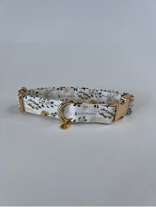 Blake Collar