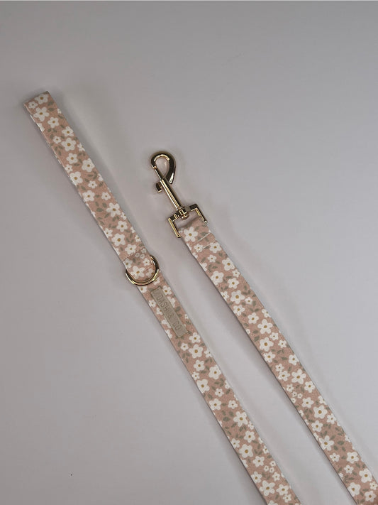Sienna Leash
