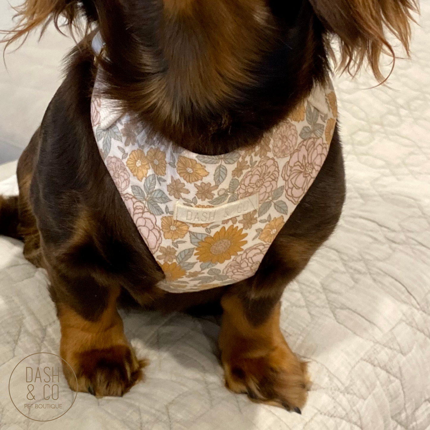 Millie Chest Harness