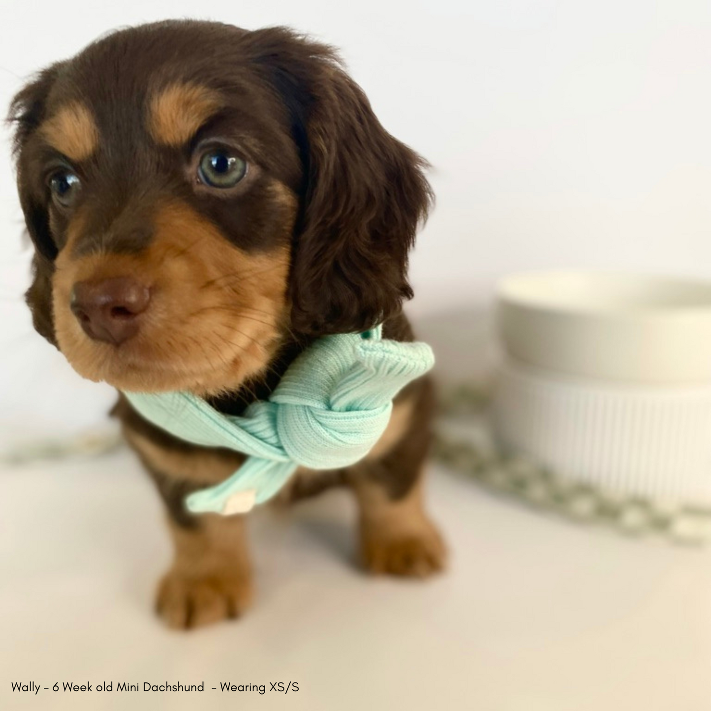 Eucalyptus Rib Neckerchief