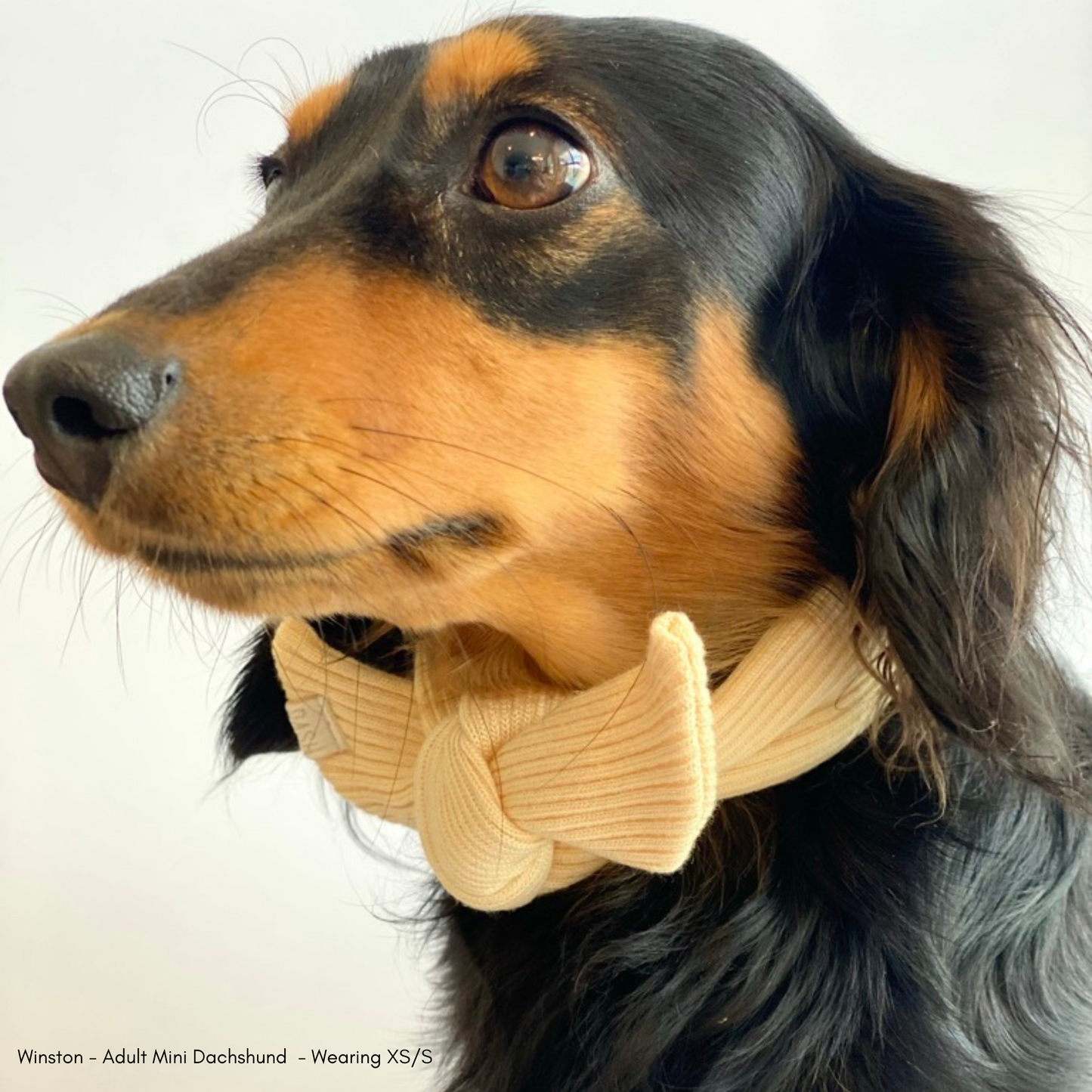 Eucalyptus Rib Neckerchief