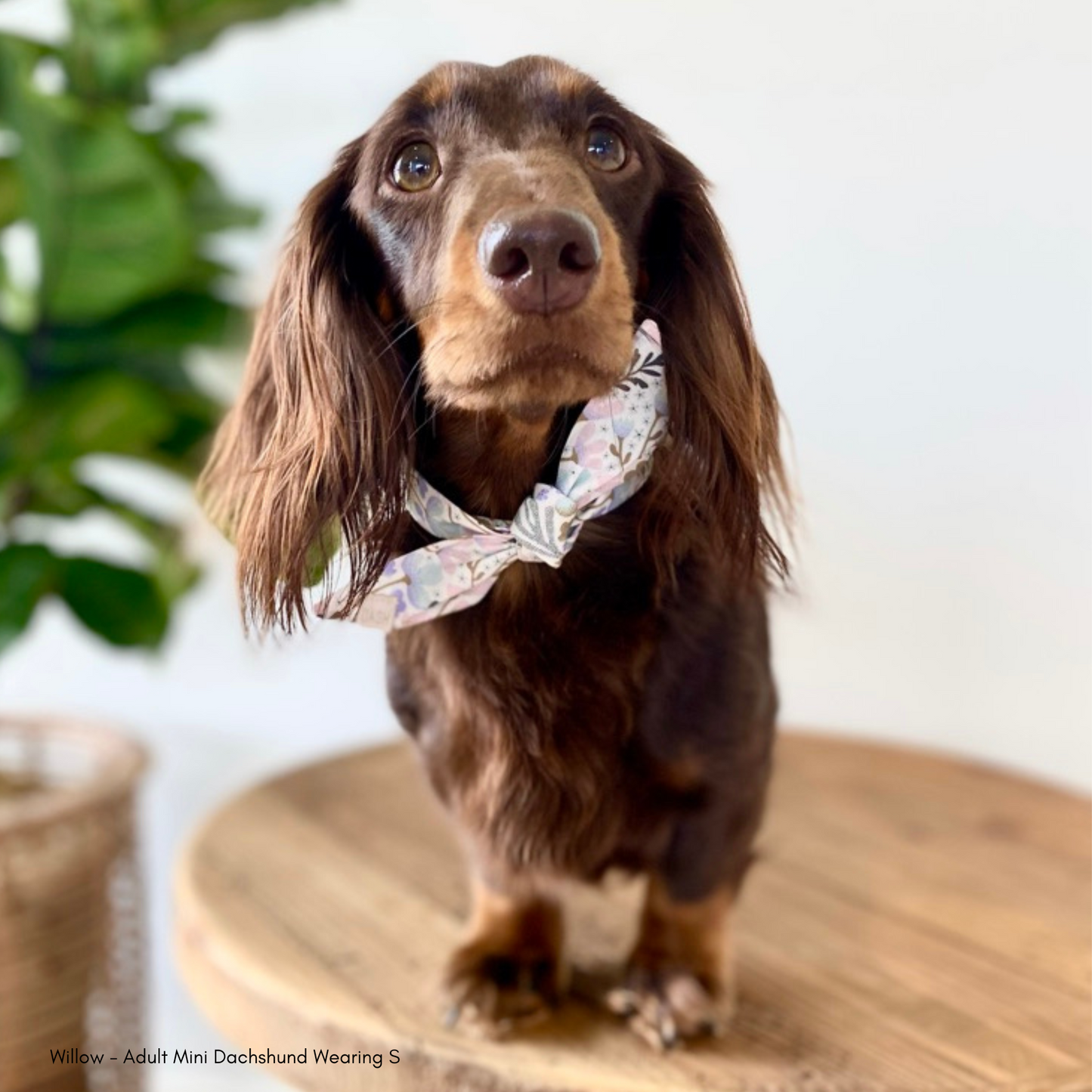 Quinnie Neckerchief