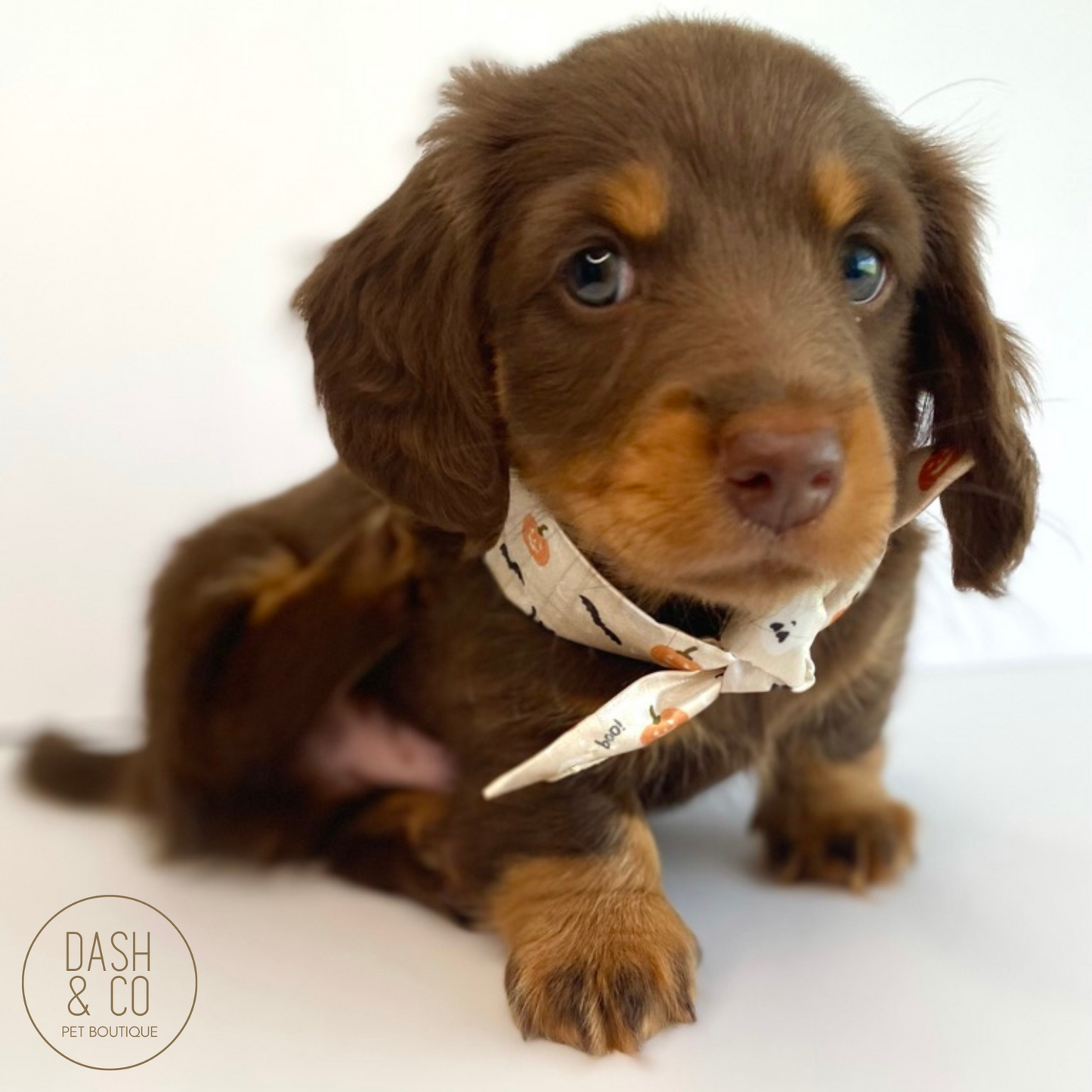 Boo Halloween Neckerchief