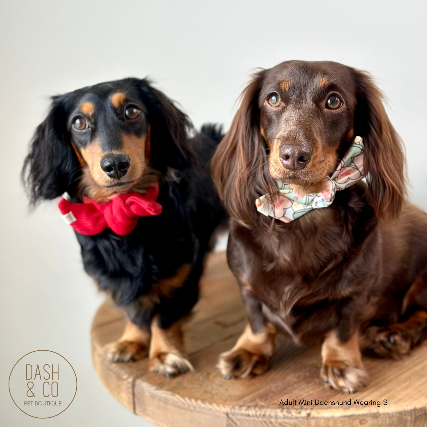 Candy Neckerchief