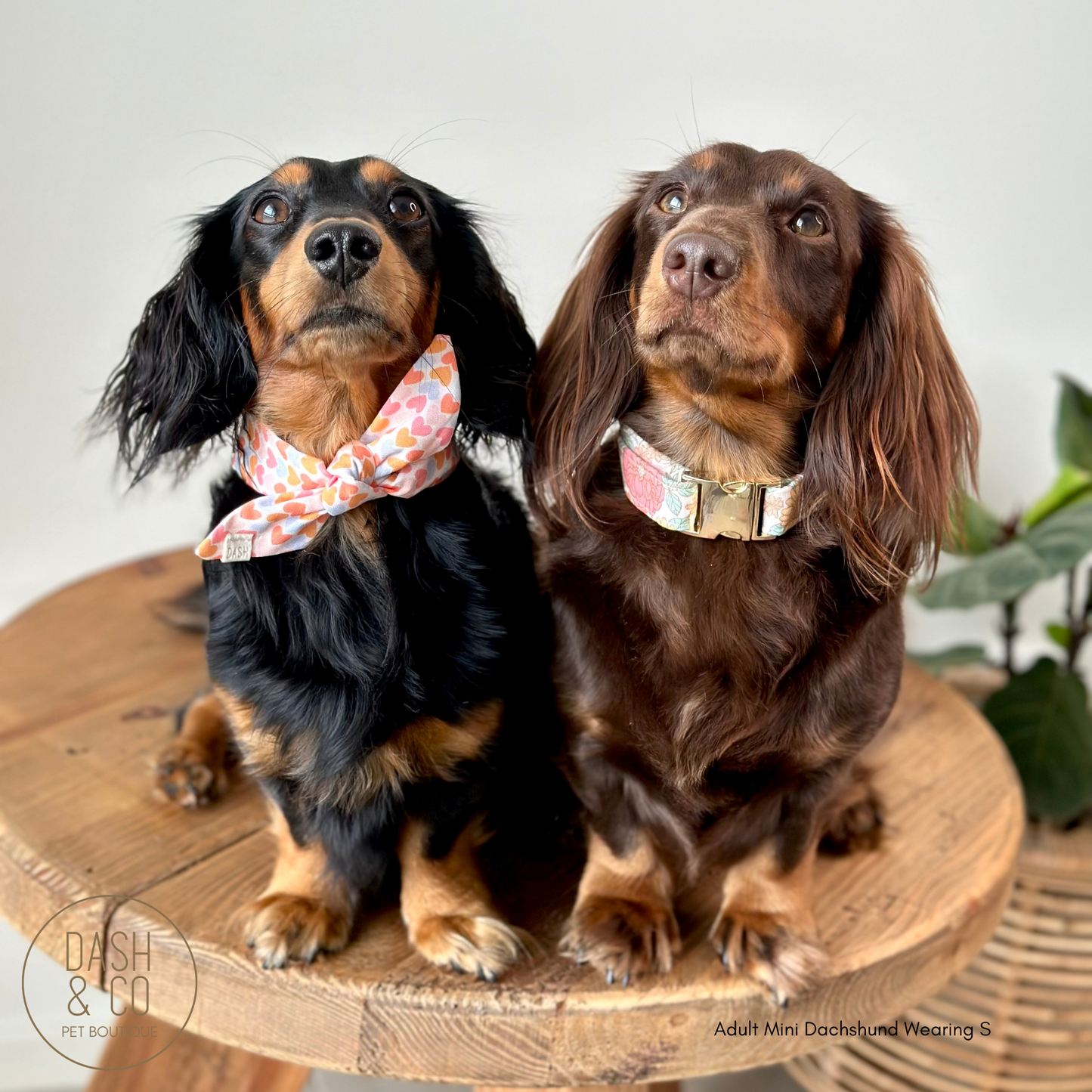 Sweetheart Neckerchief