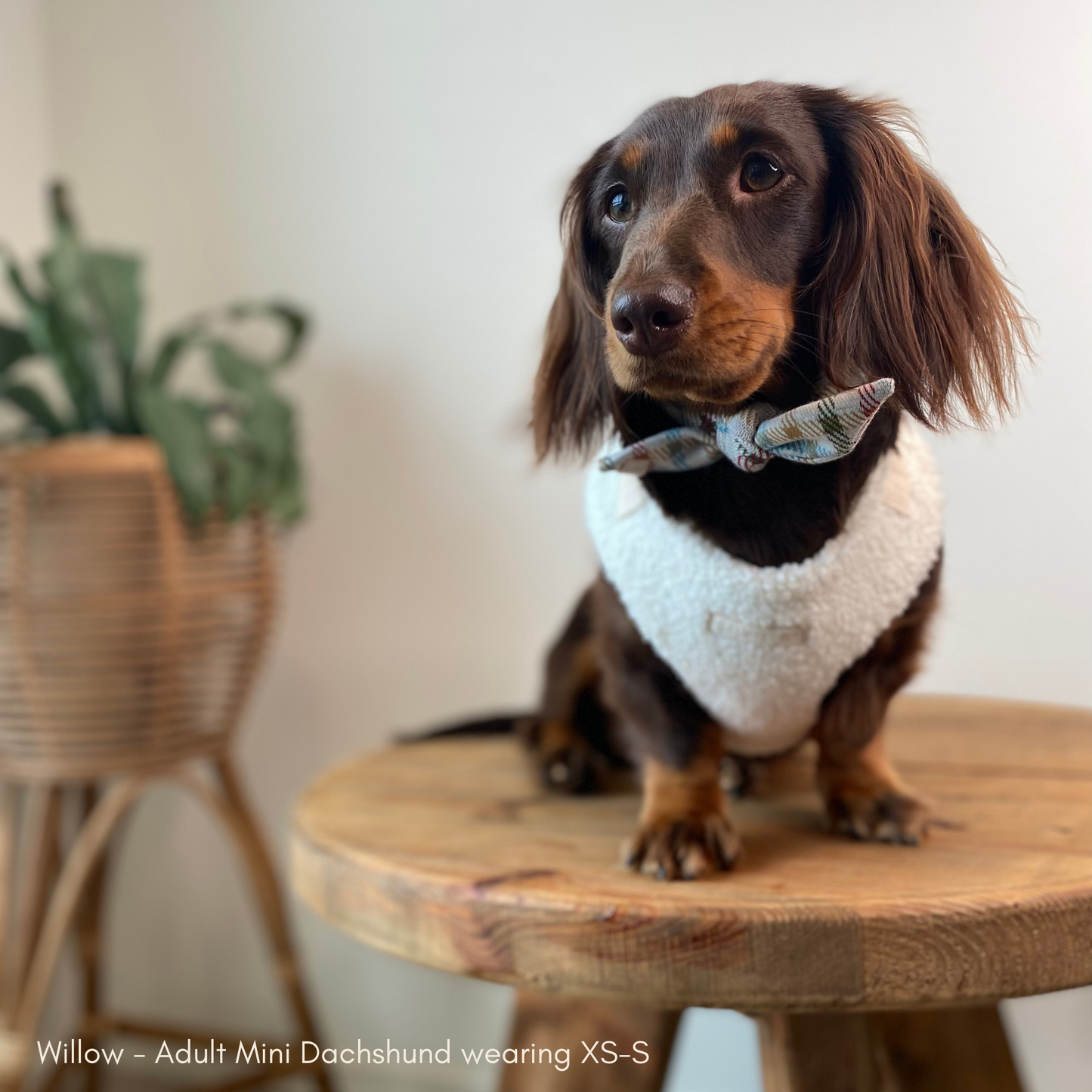 Plaid Neckerchief