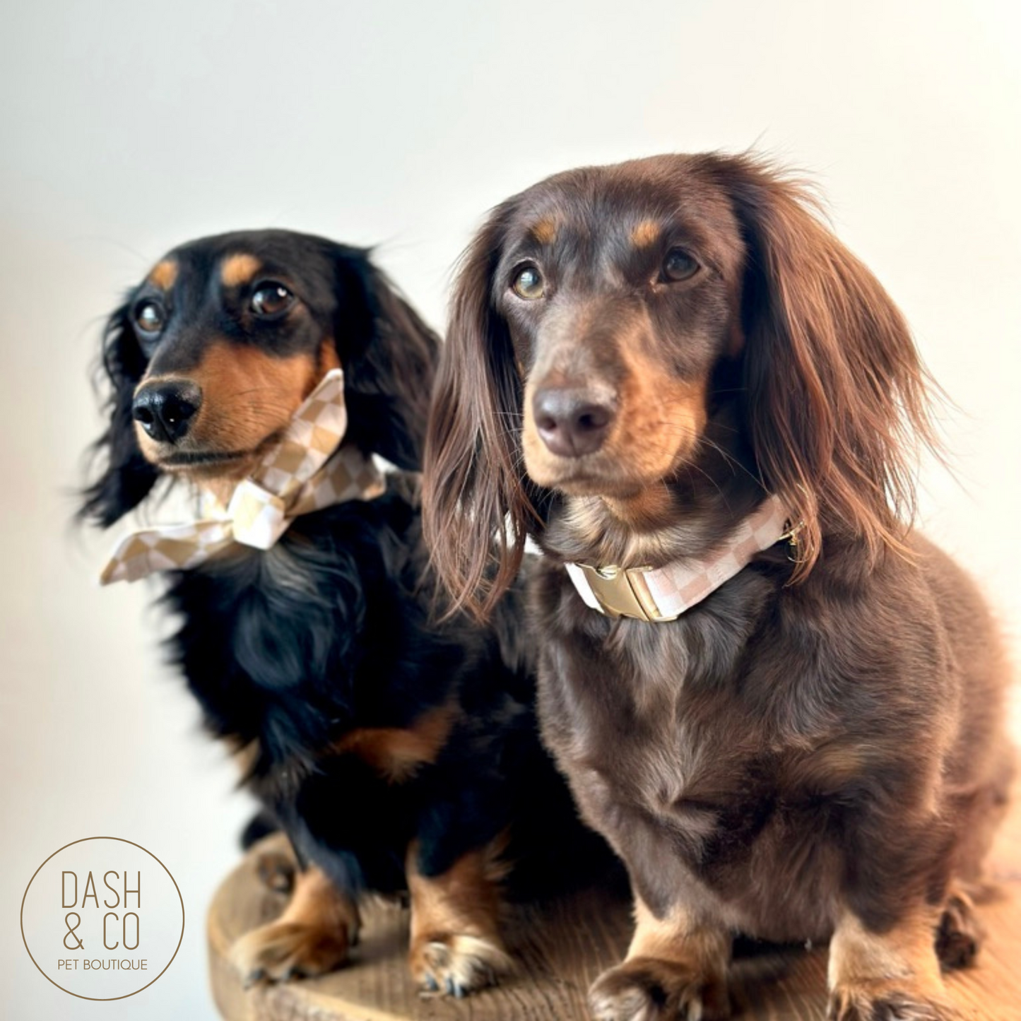 Jordie Neckerchief