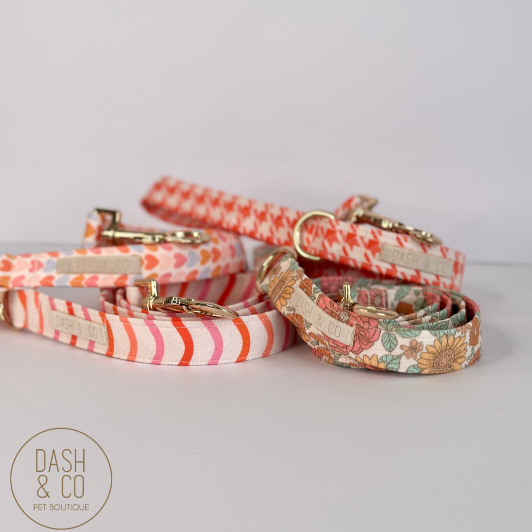 Darling Leash