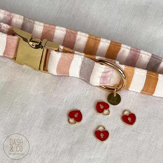 Locket Collar Charm