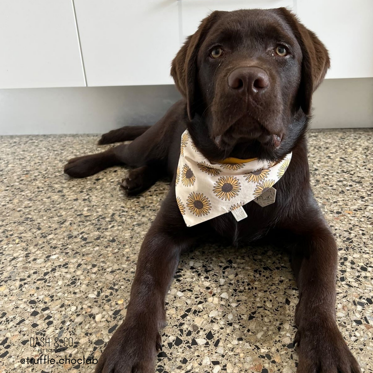 Sunny Bandana