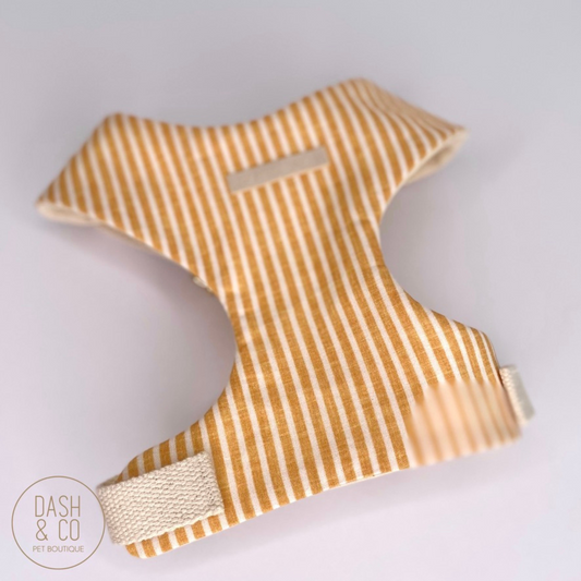 Honey Chest Harness