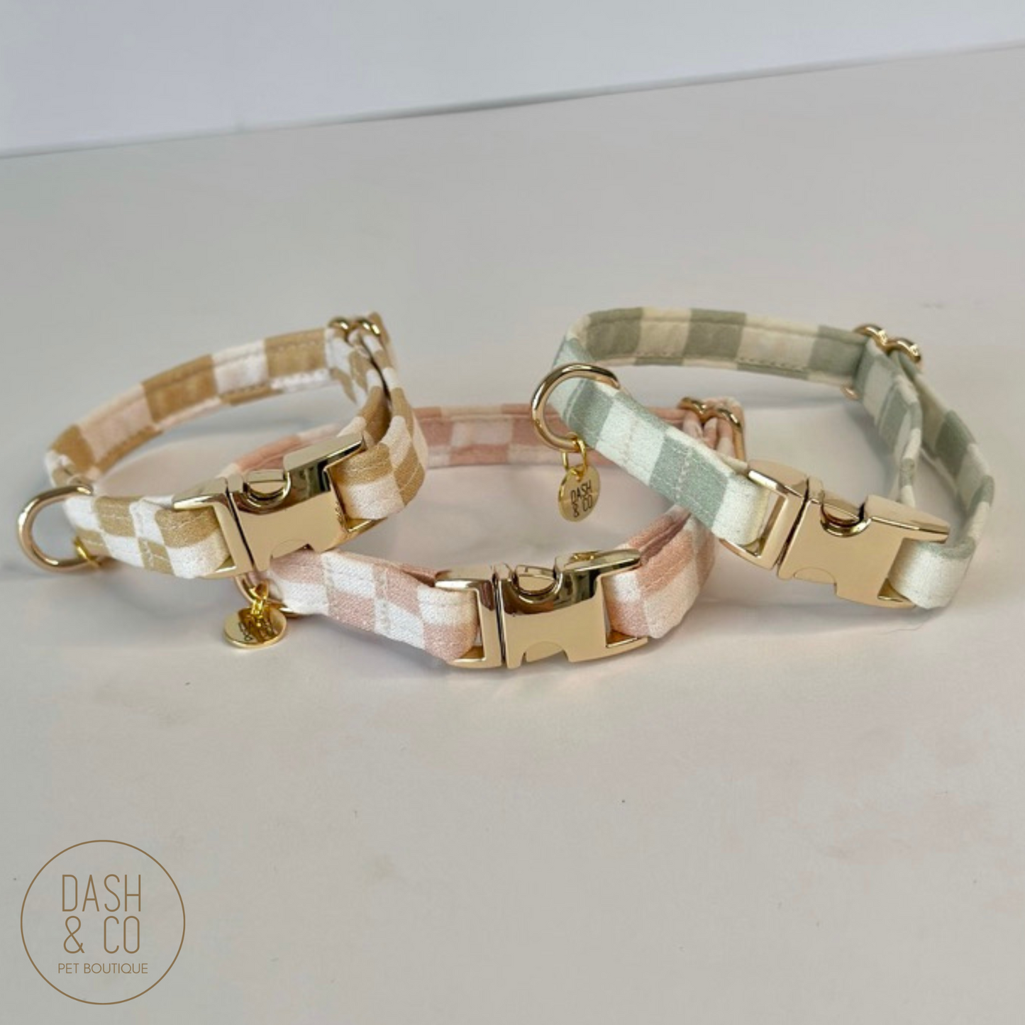 Jordie Puppy/Cat Collar