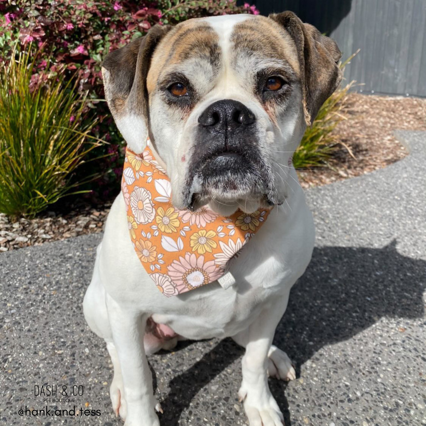 Amber Bandana