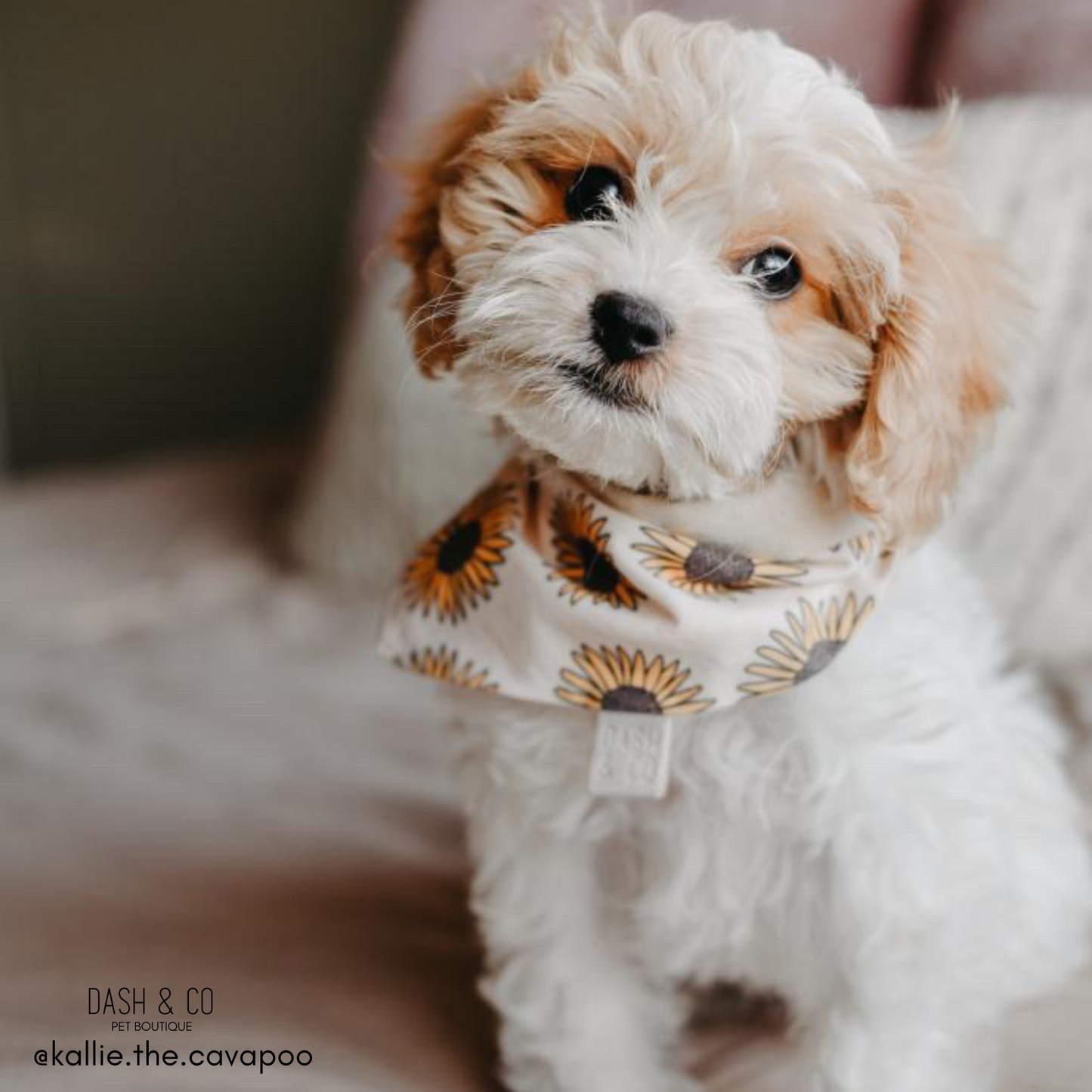 Sunny Bandana