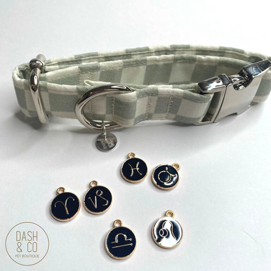 Zodiac - Collar Charm