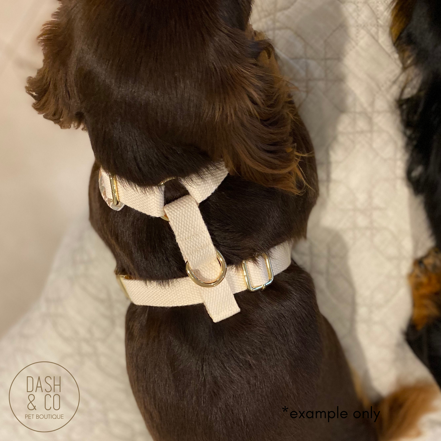 Sunny Chest Harness